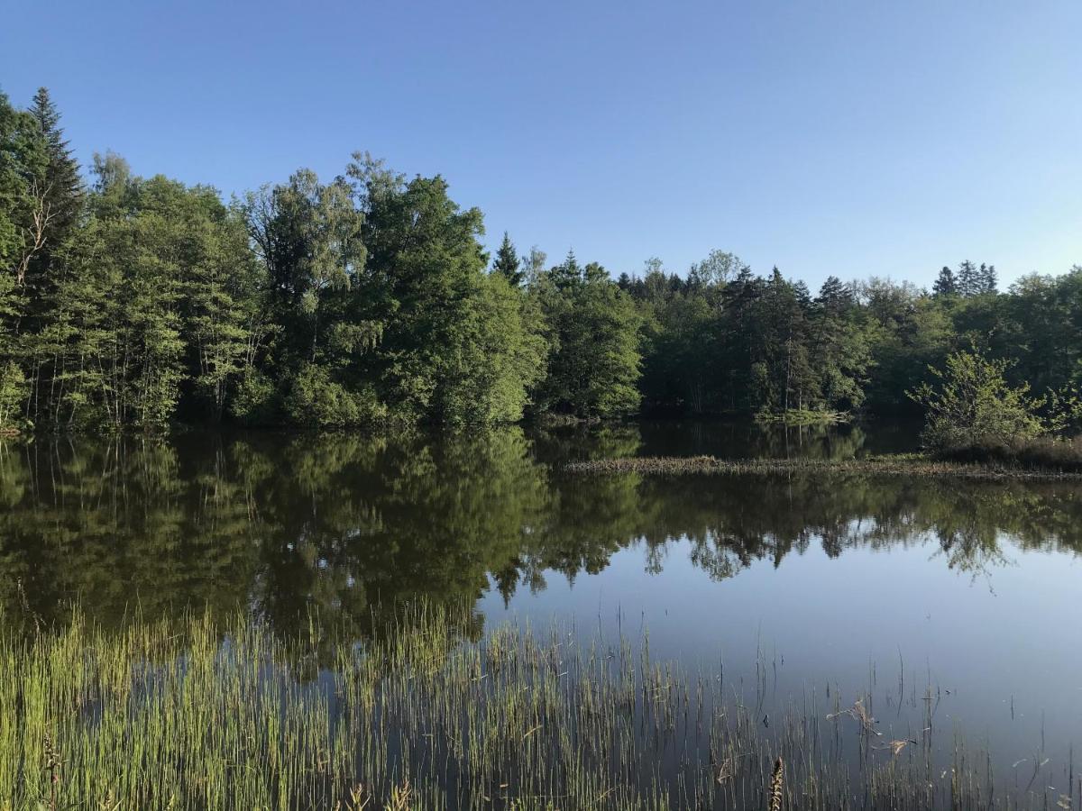 Gite Des Prary Des Mille Etangs Ternuay-Melay-et-Saint-Hilaire Luaran gambar