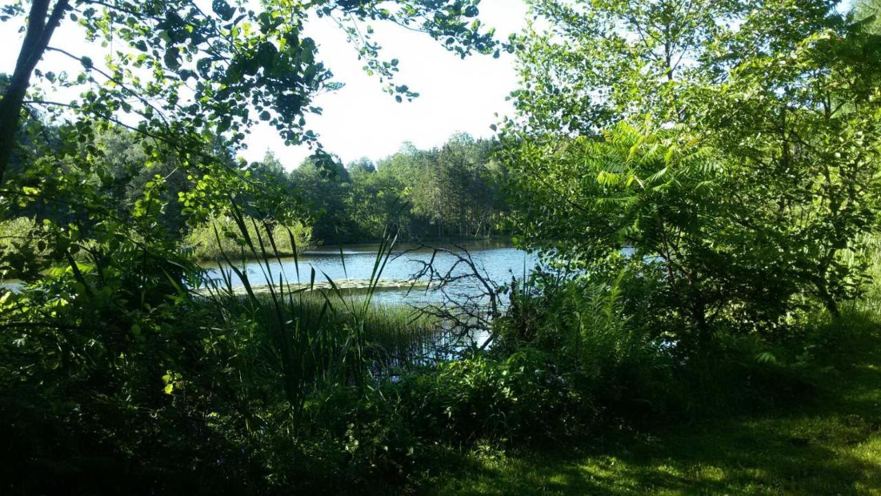 Gite Des Prary Des Mille Etangs Ternuay-Melay-et-Saint-Hilaire Luaran gambar
